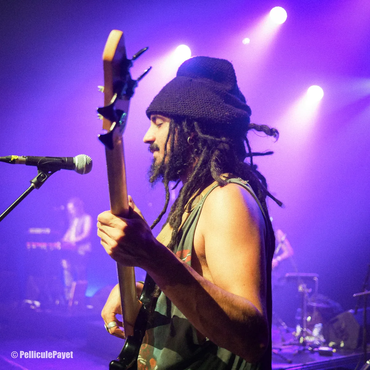Live concert performance with professional artist booking and management